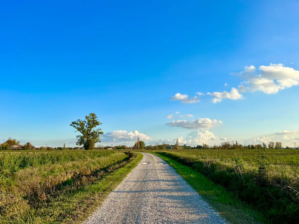 Chemin rural à travers la campagne de Pévèle, champs verts sous un ciel bleu